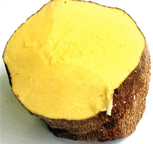 JAMAICAN YELLOW YAM (SOLD BY POUND) 

JAMAICAN YELLOW YAM (SOLD BY POUND): available at Sam's Caribbean Marketplace, the Caribbean Superstore for the widest variety of Caribbean food, CDs, DVDs, and Jamaican Black Castor Oil (JBCO). 